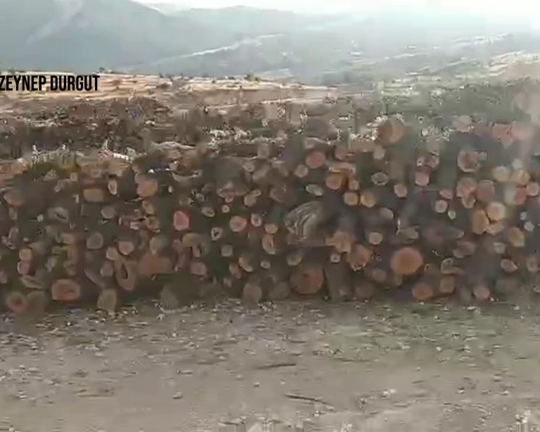 New footage of ecological destruction in Gabar